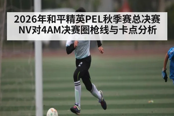 2026年和平精英PEL秋季赛总决赛NV对4AM决赛圈枪线与卡点分析